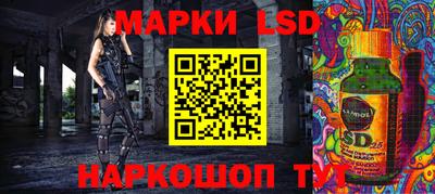 амф Сланцы