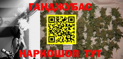 амф Сланцы