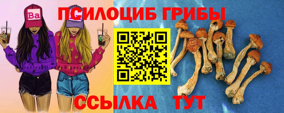 Псилоцибиновые грибы мицелий Северобайкальск