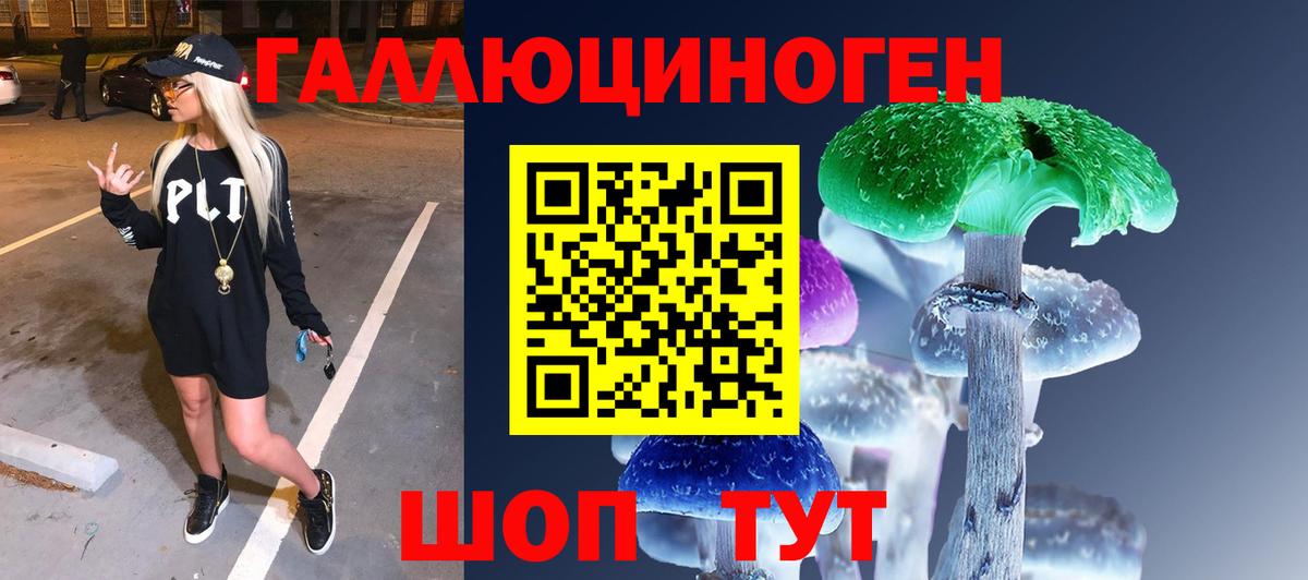 Галлюциногенные грибы Magic Shrooms  где продают   Северобайкальск  Псилоцибиновые грибы GOLDEN TEACHER  Вход с VPN 